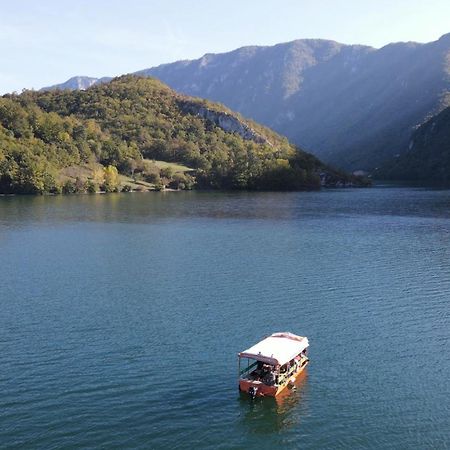 Rusticna Kuca Crvena Stena U Blizini Kucice Na Drini Bajina Basta Bagian luar foto