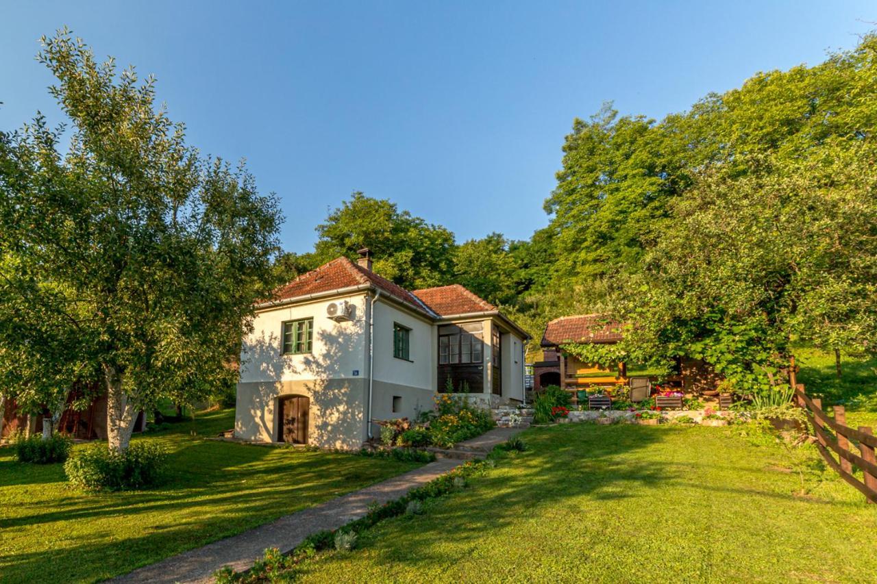 Rusticna Kuca Crvena Stena U Blizini Kucice Na Drini Bajina Basta Bagian luar foto