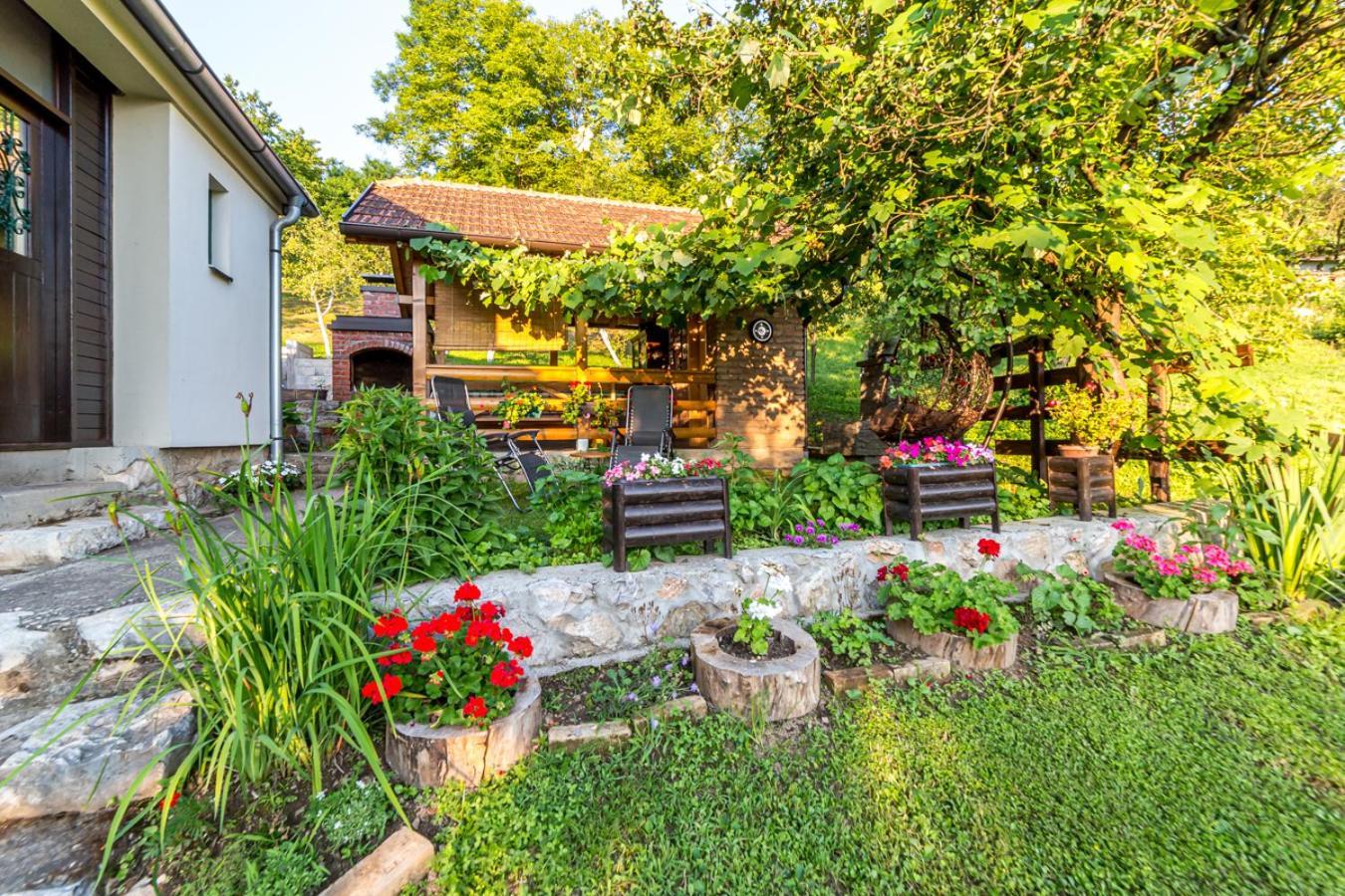 Rusticna Kuca Crvena Stena U Blizini Kucice Na Drini Bajina Basta Bagian luar foto